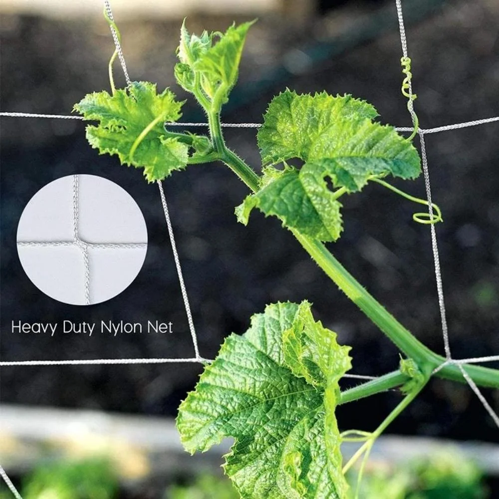 Kletternetz für Gartenbaupflanzen, gewebtes Netz aus Polyester, geeignet für andere Kletterpflanzen wie Tomaten, Bohnen, Trauben usw – Detail 1
