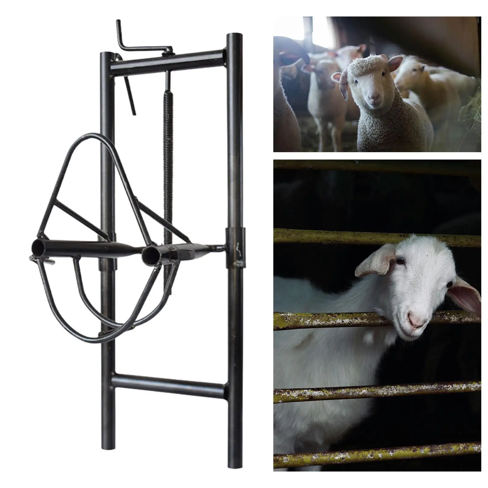 Gancho regulable para cabeza de oveja – Accesorio estable ordeño - imagen 2