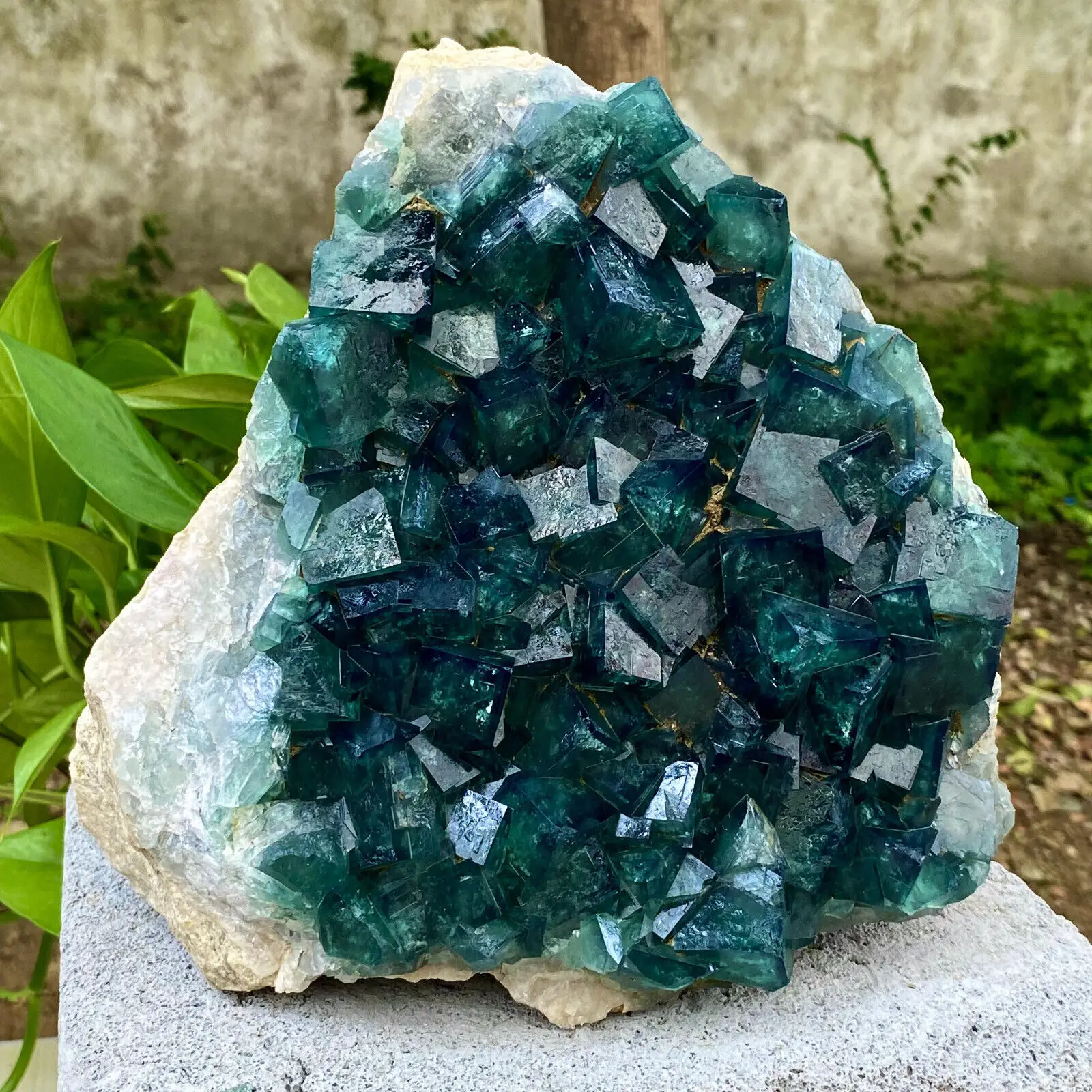 Natural Green Fluorite Crystal Mineral Healing specimens