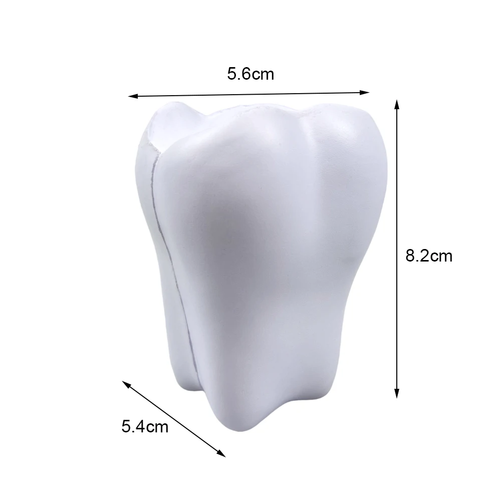 1PC Tooth Shape Toy Slowly Rising Children Anti Pressure Toy Cute Size Tooth Shape Comfortable Squeezing Toy Dentist Gift