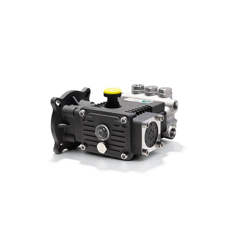 High Pressure Booster Pump LL Triplex Plunger Pump 100Bar 2-6LPM SS.316L Stainless Steel Piston Pump for Salt Water Desalination