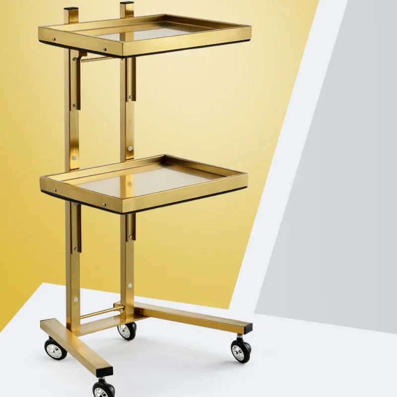 

Stainless Tattoo Salon Trolley Utility Hairdresser Salon Furniture Multi-layer Barber Move Tool Cart Storage