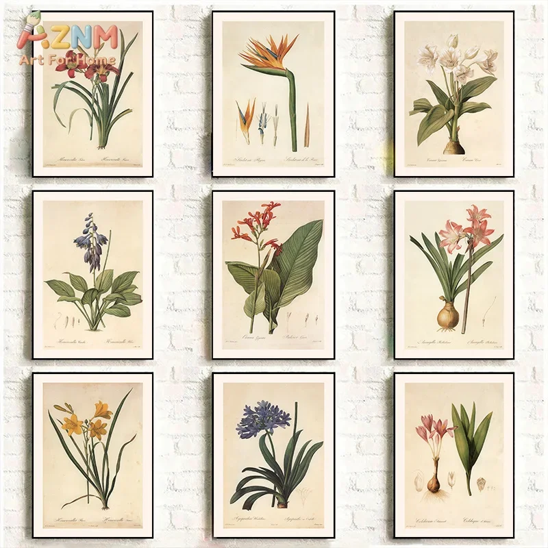 AZNM Vintage Botanical Flower Canvas Wall Art Antique Plant Illustration Neutral Floral Print Home Unframed Decor Print
