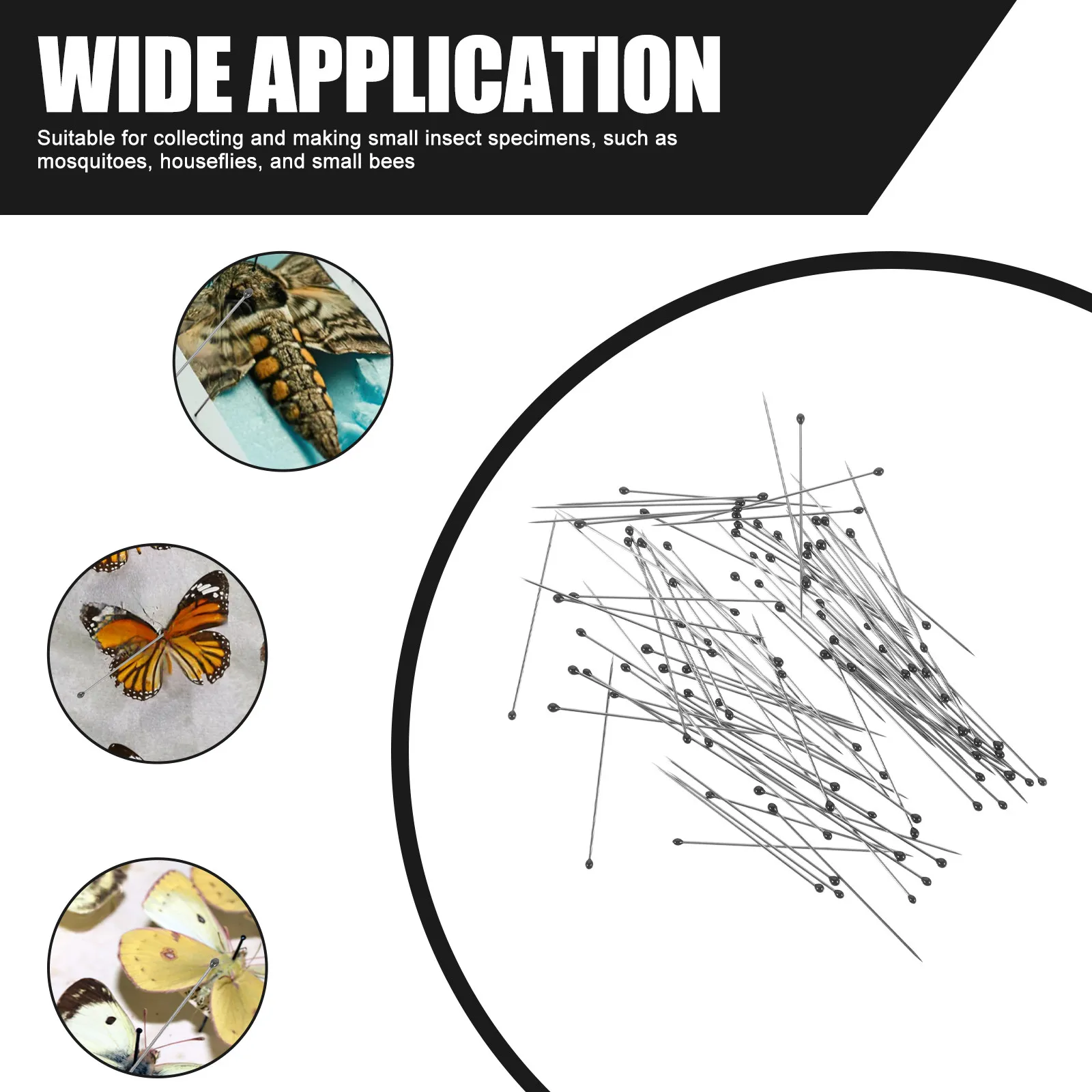 2 Buckets Stainless Steel Specimen Pin Insect Needle for Entomology Supplies Small Insect Mounting Mosquito Fly Bee Display Kit
