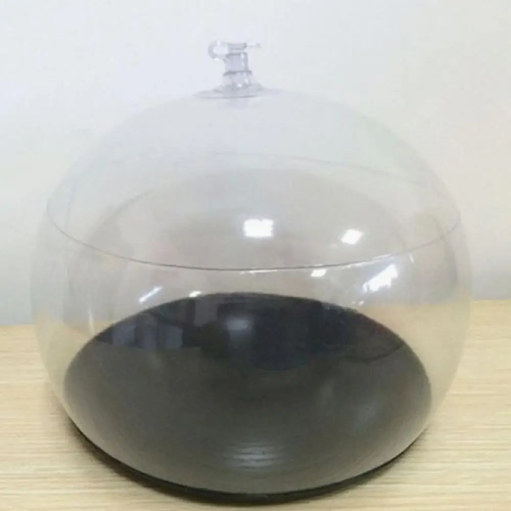 Unique Hat Holder Long Lifespan Cap Stand Easy to Use Strong Construction Display Cap Holder  Practical