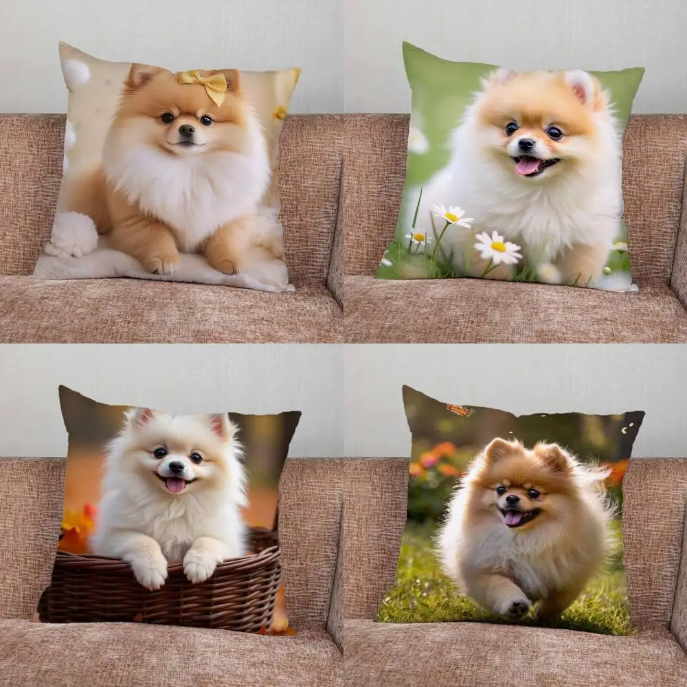 

Cute Pomeranian Pillow Case Pillowcase Home Sofa Cushions Car Cushions Pillowcover Office Pillowshell Pillow