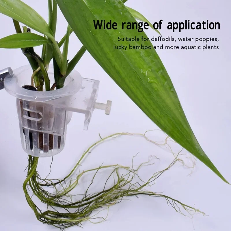 Thumbnail 2 - #12 Trending Decorative Aquarium Plants Right Now