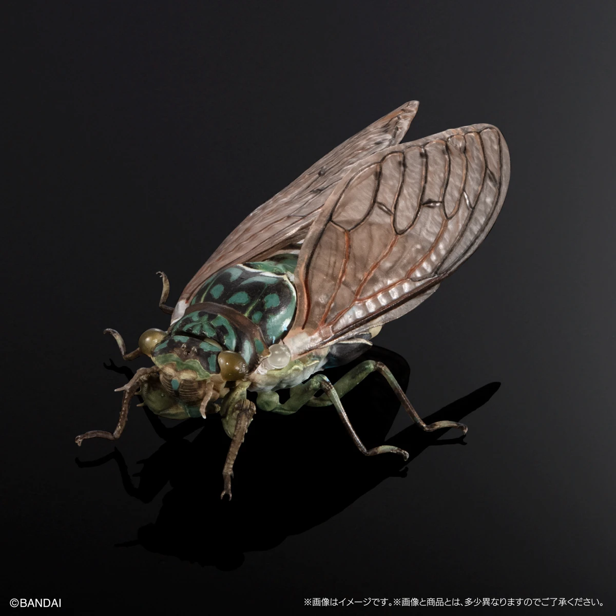 BANDAI Biological Encyclopedia Action Figures Model Cicada Spotted Winged Cicada Gashapon Ornament Genuine Collect Ornaments