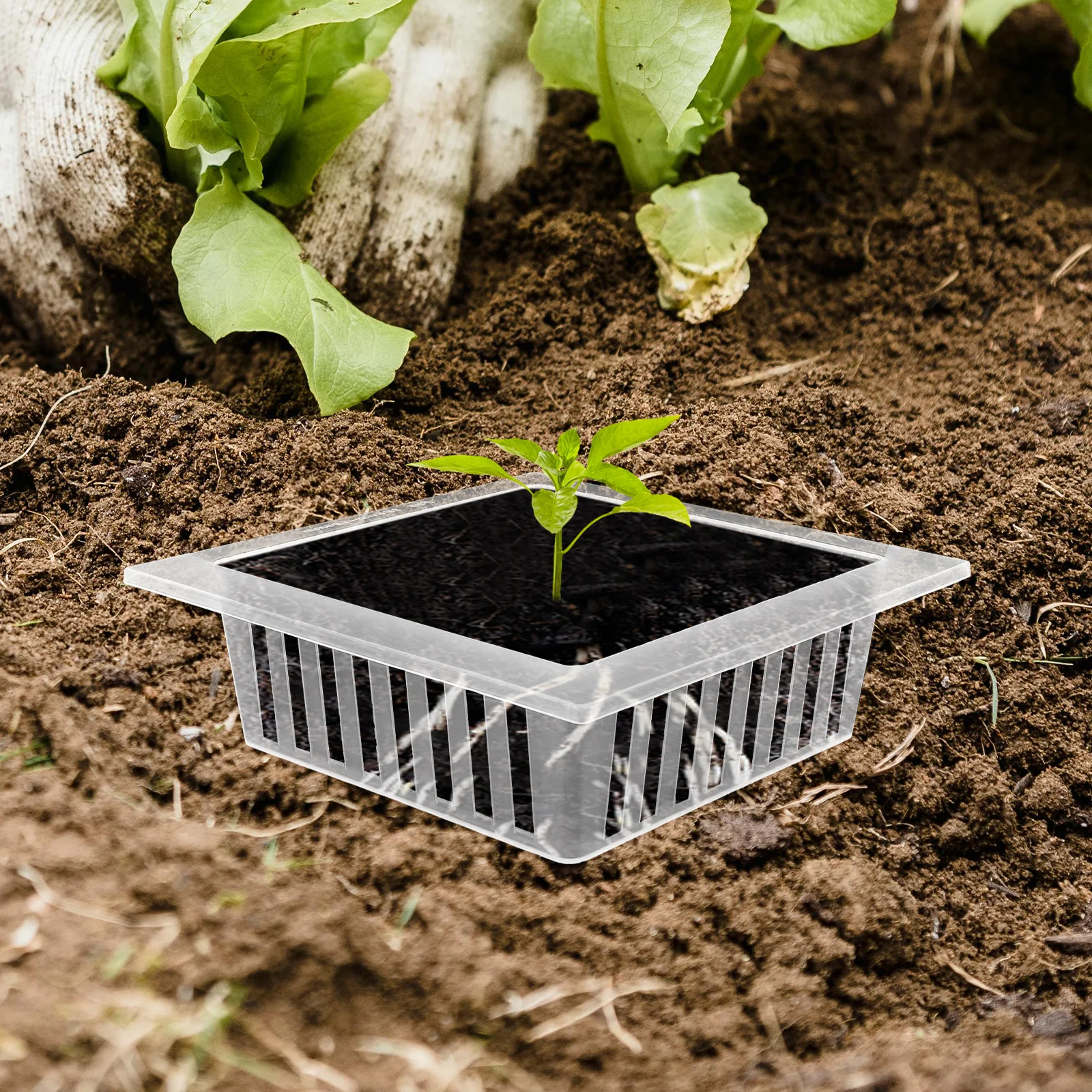 

10 pcs Fixing Baskets Hydroponic Net Cups Transparent Growing Devices for Flower Pot Vegetable Herb Cultivation Mesh