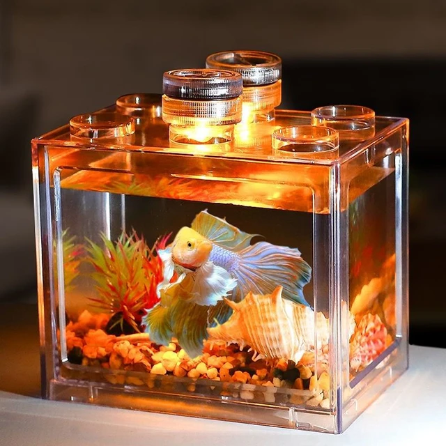 Mini fashion aquarium design