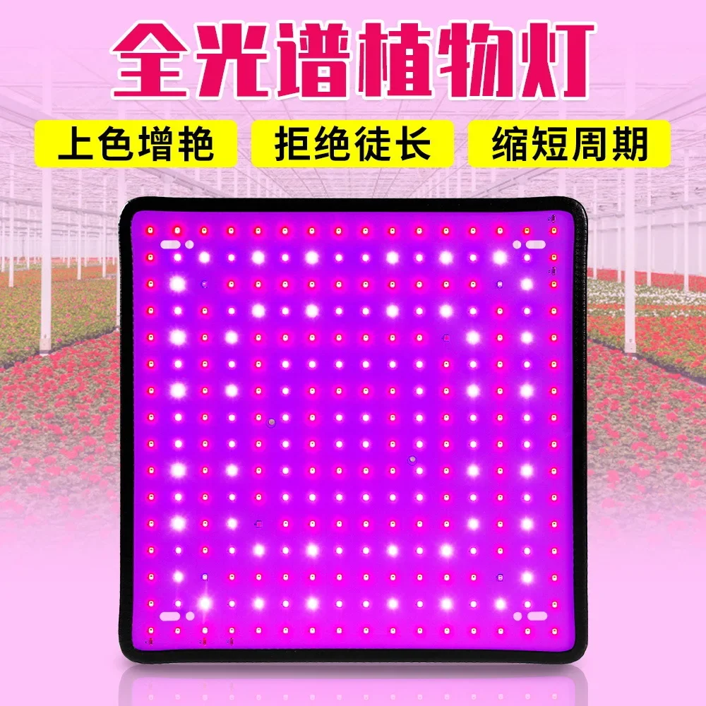 

256-светодиодная лампа для выращивания растений, полный спектр цветов, сочных растений, лампа для выращивания рассады, комнатная квантовая доска, заполняющий свет для растений, хит продаж
