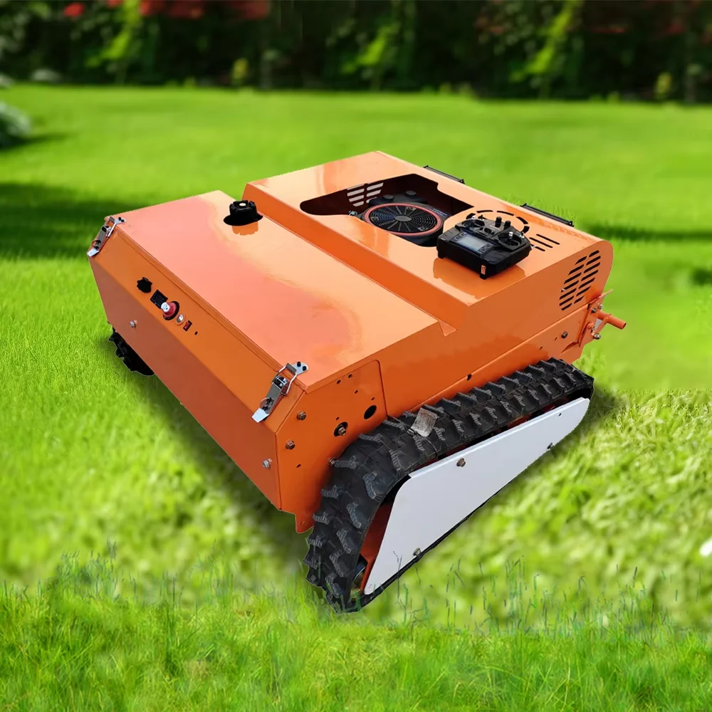 

Высококачественная дешевая садовая электрическая газонокосилка с дистанционным управлением и снегоочистителем