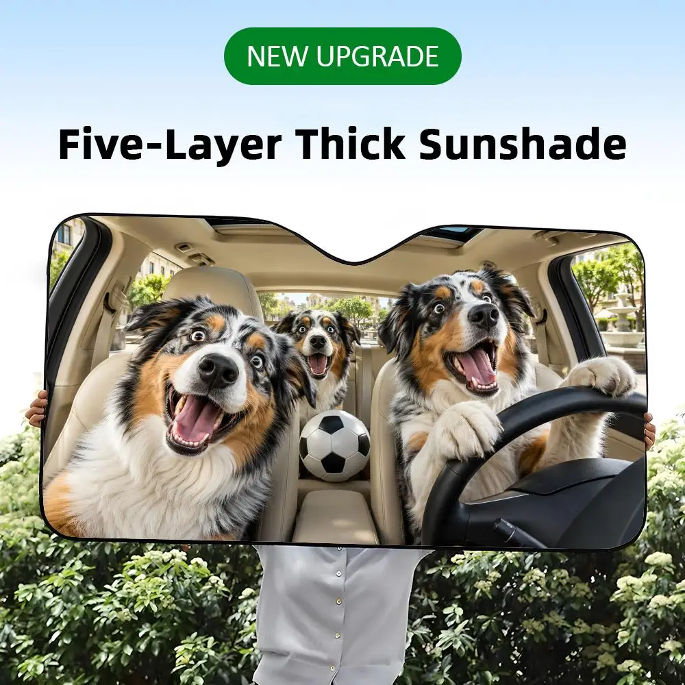 A five-layer thick car windshield sunshade with a funny graphic print of Australian Shepherd dogs throwing a soccer party.