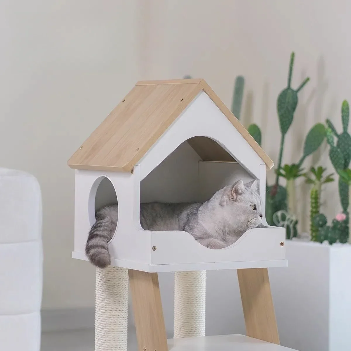 Chino Cat, Villa, Cat Litter, Climbing Frame, Integrated, Space Capsule, Real Cat Toy