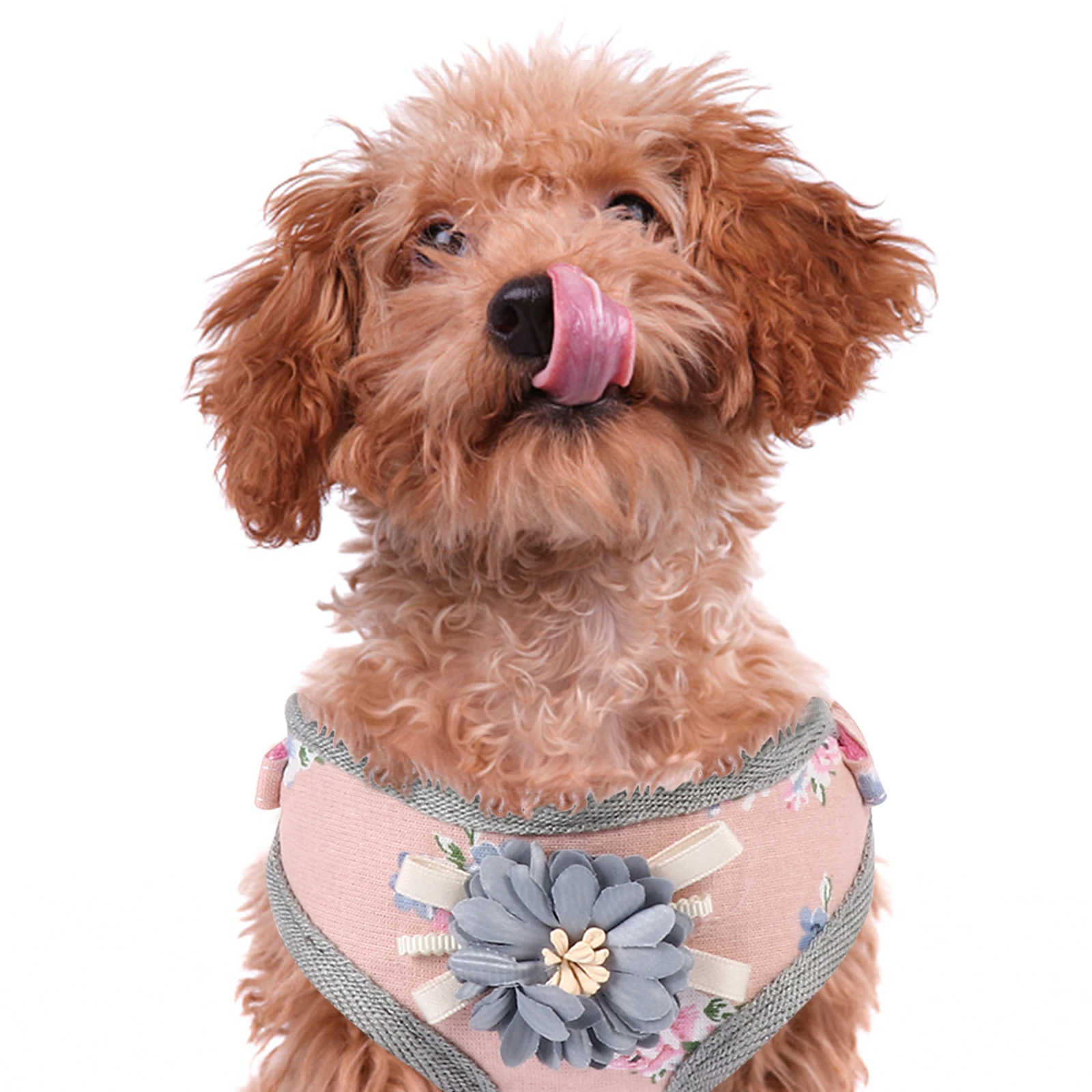 

1 Set Flower Design Small Dog Chest Strap Vest Walking Lightweight Durable Comfortable Pet Harness Even Pressure Protection