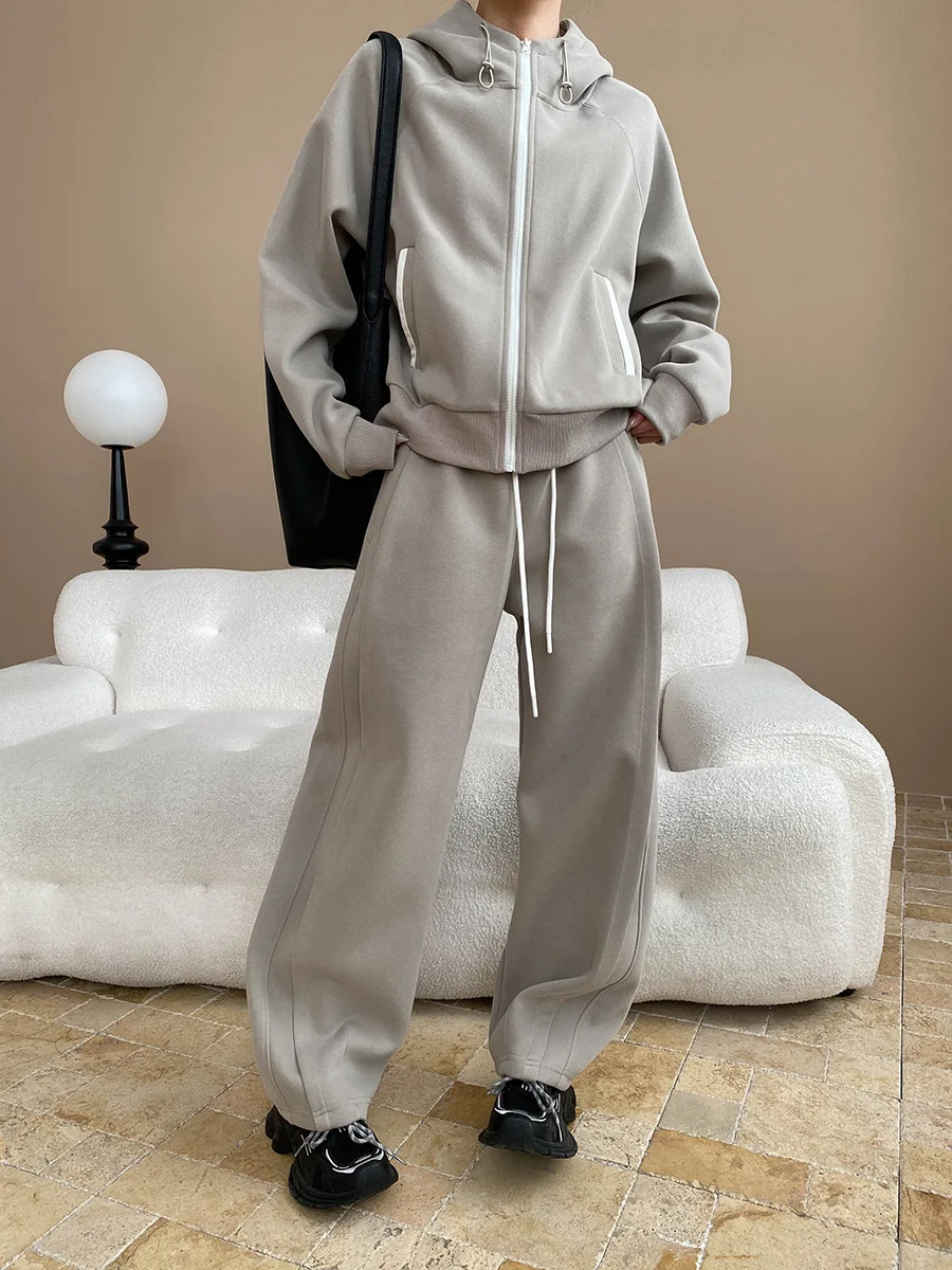 

2025 Spring and Autumn Women's Suit Casual Solid Color Loose Hooded Sweatshirt+High Waist Loose Pants 2 Piece Set