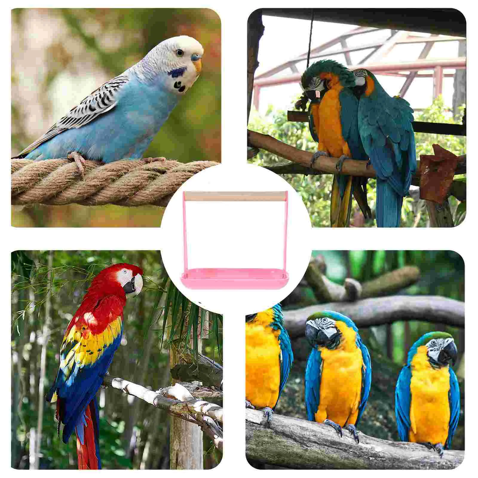 Parrot Training Stand Bird Perch Station with Plastic Tray for Parakeets Conures Lovebirds Cockatiels Bird Training Supplies and