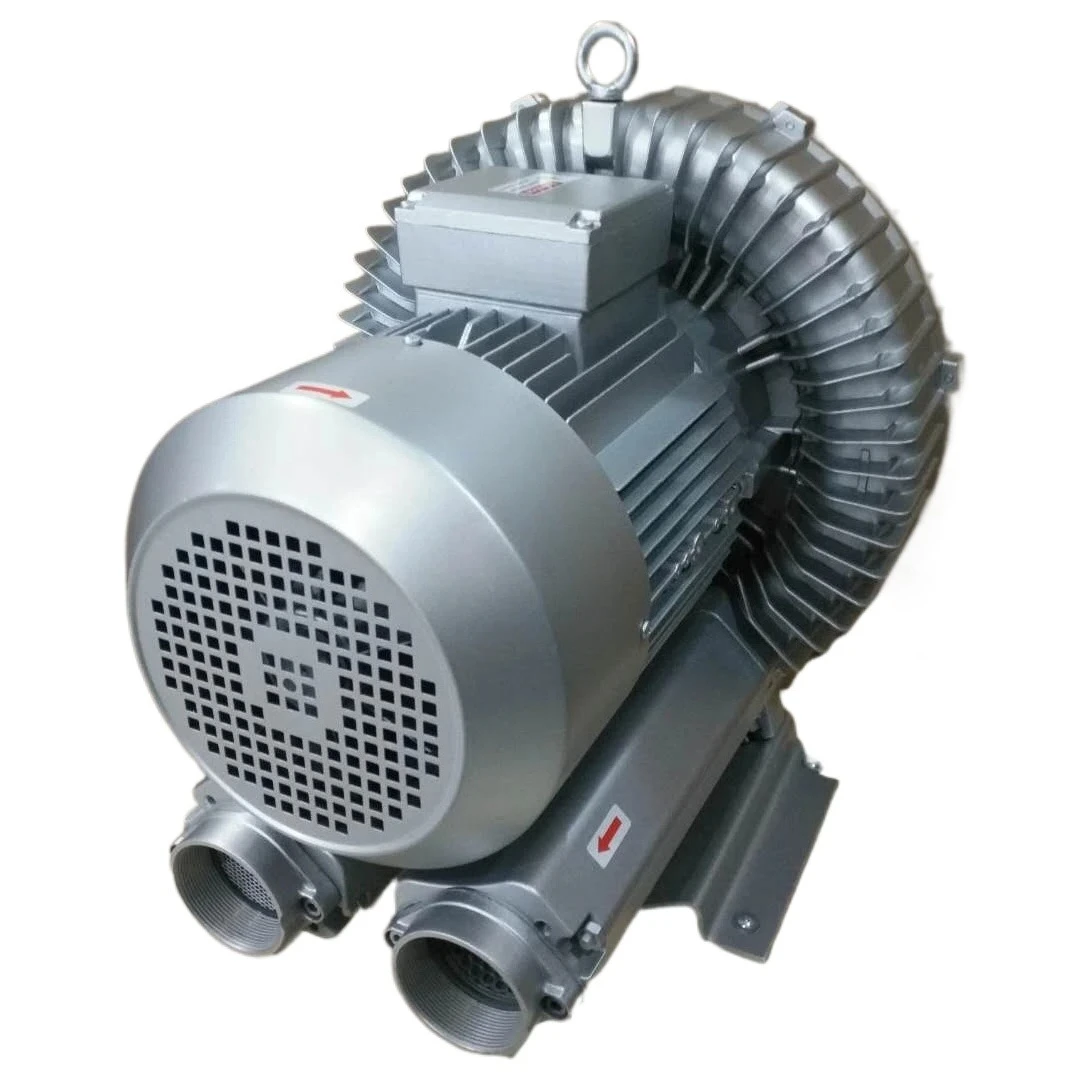 

EHS-859 7.5KW 380v Max Airflow Rate Type Gas Ring Vacuum Pump