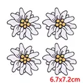 PE17575CT