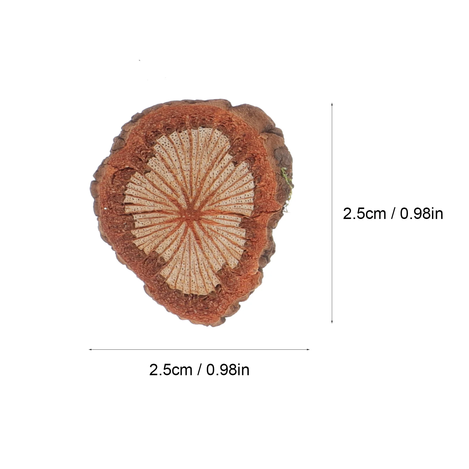 1 حزمة رقاقة الخشب الطبيعية DIY بها بنفسك الحرفية إكليل إطار الصورة ديكور ريفي خشبية الحرفية المواد ديكور المنزل