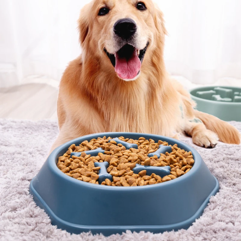 Pet Slow Food Bowl Anti-choking Feeder PP Plastic Dish Bowl Home Dog Eating Plate Anti-gulping Feeding Supplies image 2
