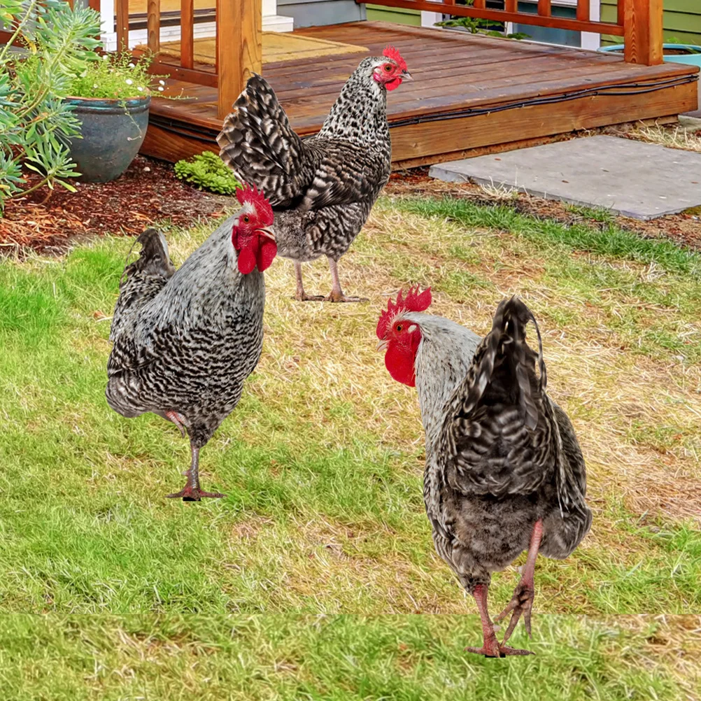 

3Pcs Garden Yard Stake Chicken Acrylic Decor Ground Insert Decorative Lawn Ornament Outdoor Garden Chicken Yard Sign