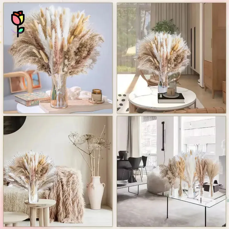 Dried Flowers Fluffy Pampas Grass Bunny Tail Grass Eucalyptus Autumn Limonium Bouquet Home Party Wedding Gypsophila Room Decors