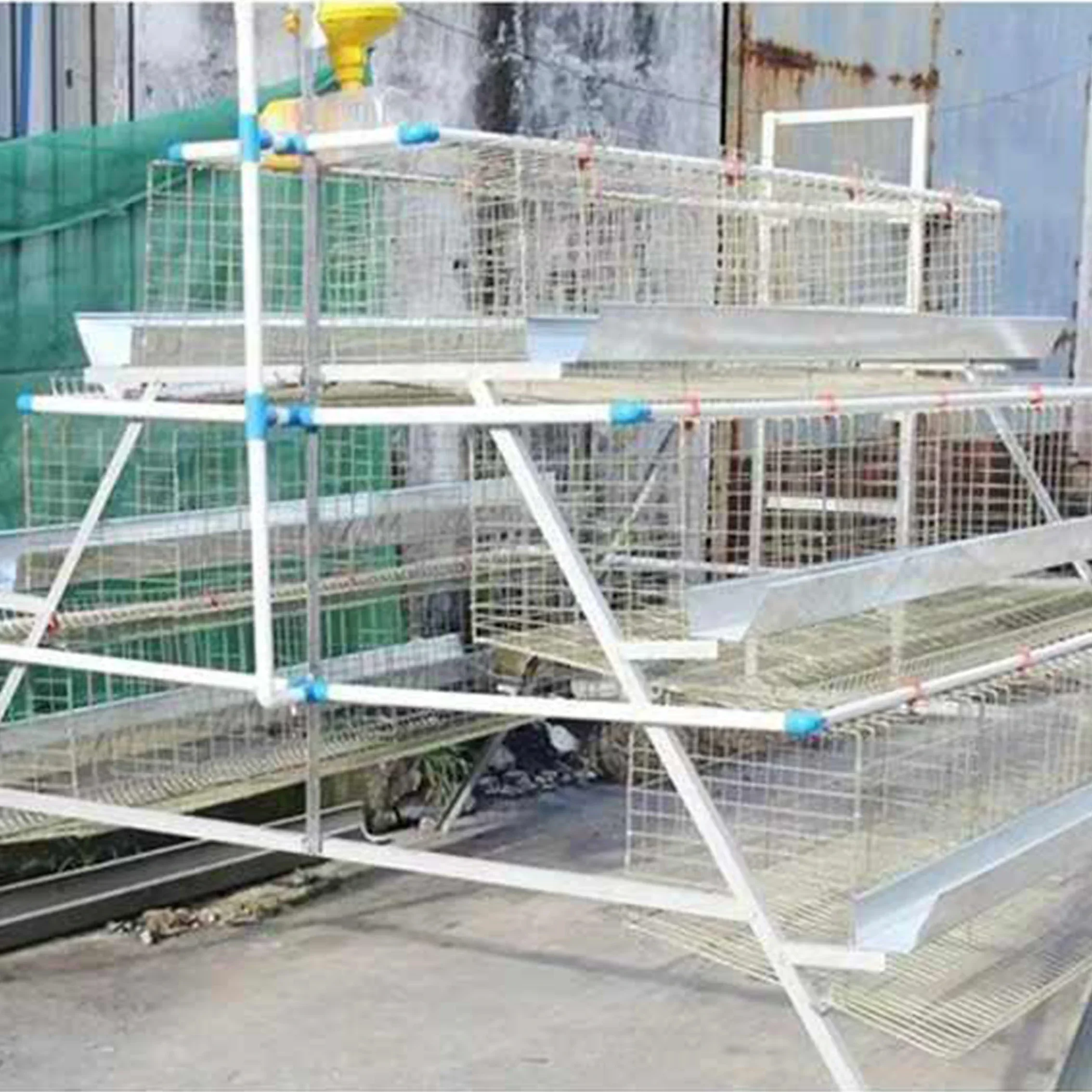 Farm-specific Chicken Coop, Full Set of Chicken Cages, Multi-layer Stepped Layer Cages