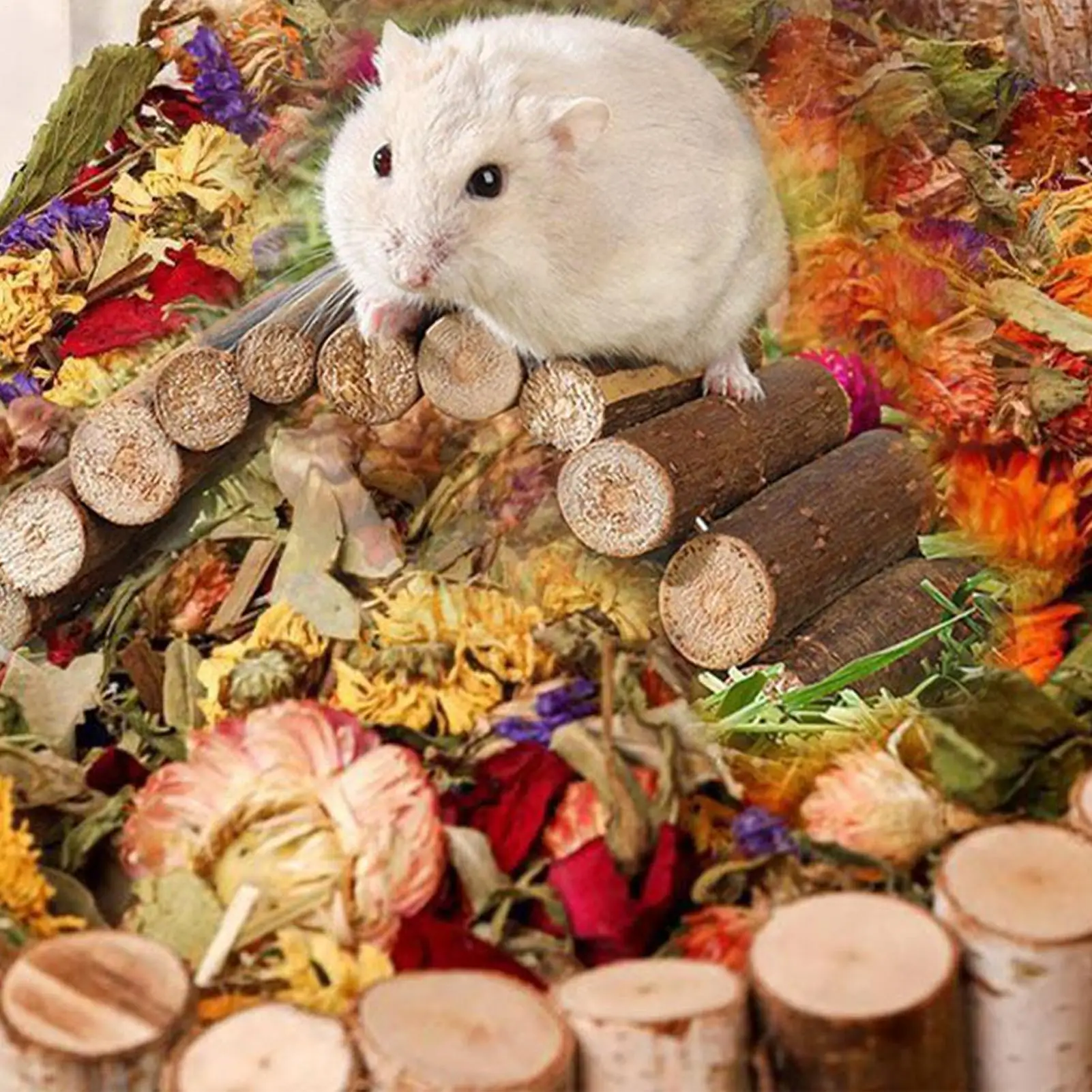 Dwarf Hamster Bedding Flower Habitat Decoration For Small Pets Natural Dried Flowers Odor Control Hamster Bedding Habitat