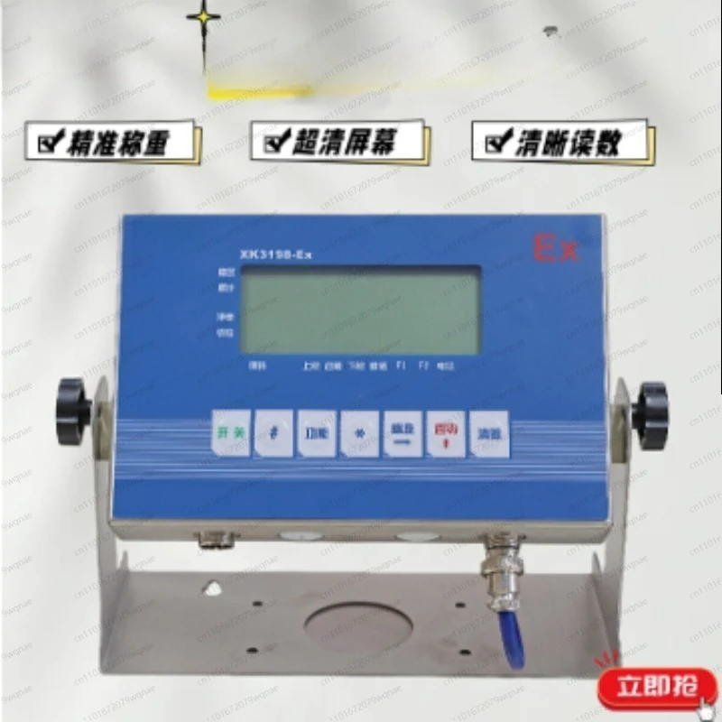 XK3198-T9 Weighing Display Instrument Display Instrument Weighing Display