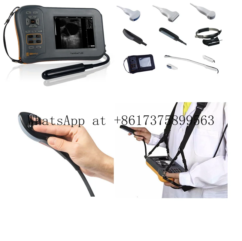 High End 5.8 Inch Farm Ultr asound Scanner Machine Sheep Pig Cow Equine Pre gnancy Veterinary Equipment Farmscan L60 USG