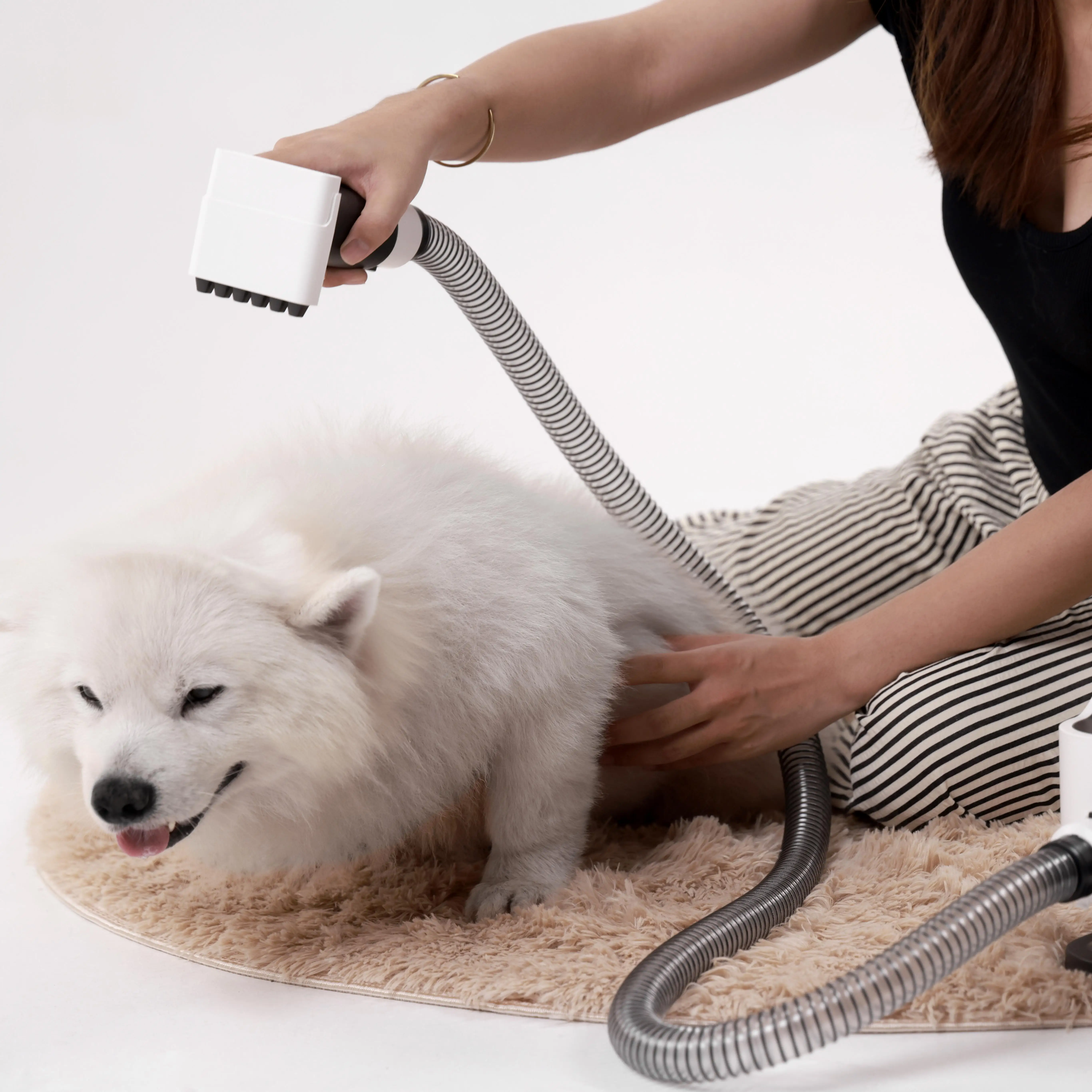 

Innovative Home Pet Grooming Kit with Quick-Drying Design for Dog and Cat Hair Trimming Cleaning Brushes and Combs Included