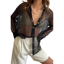Women's Casual Daily Commuting  Shirt Tops See-through Chiffon Comfortable Lapel Long Sleeve Shirt Tops
