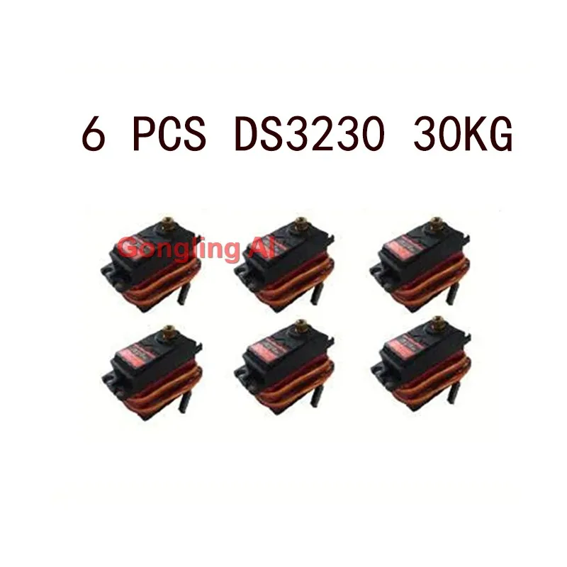 Variant: Only 6pcs DS3230