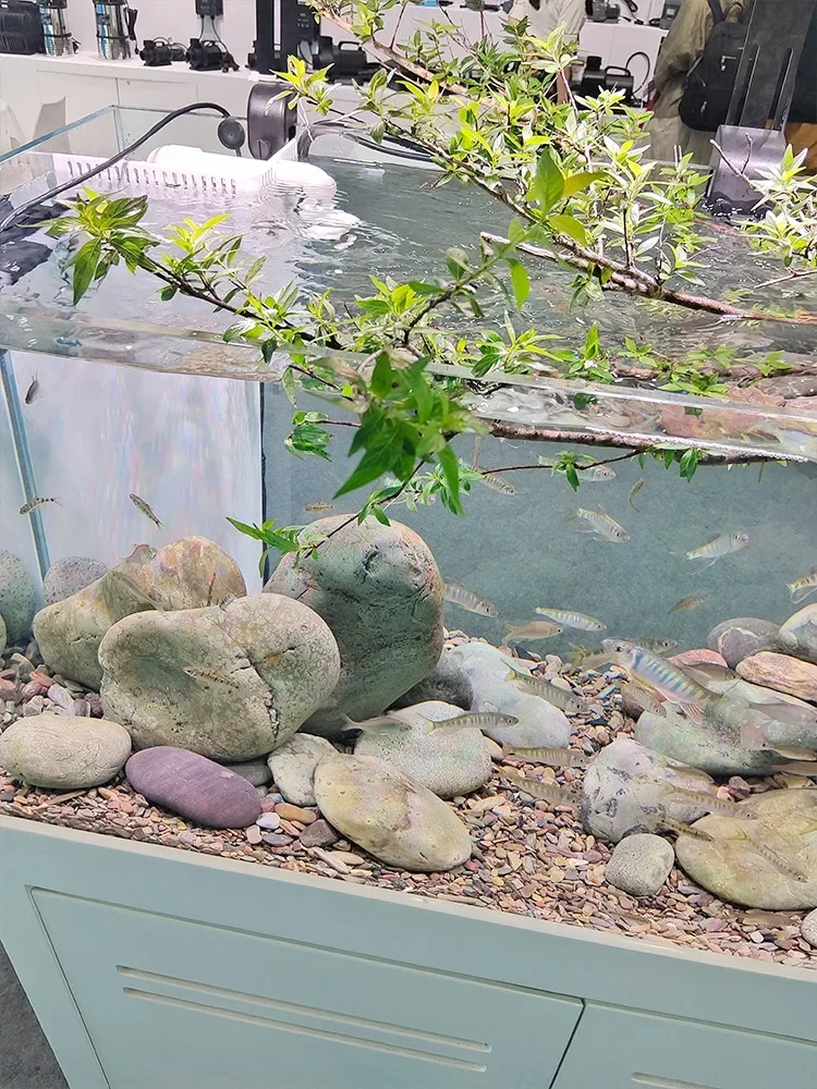 Aquarium bottom filter living room ultra-white glass Lanshou stream tank
