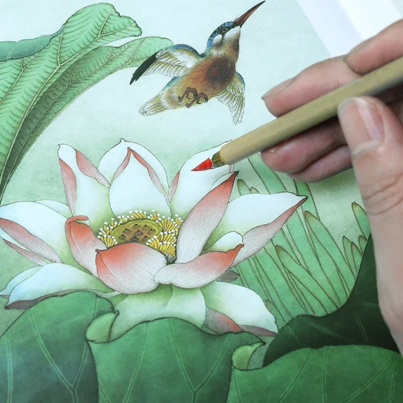 Meticulous Painting Line Draft Manuscript Lotus Flower Bird Peony Zero-based Chinese Coloring Drawing Practice Ripe Rice Paper