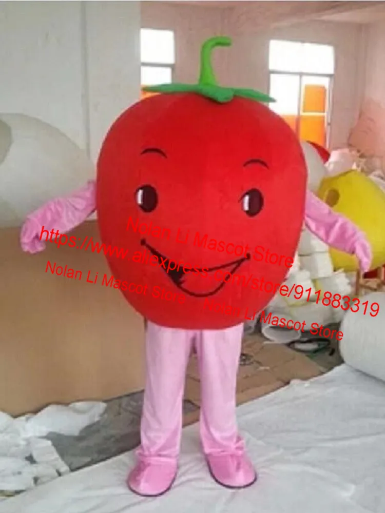 Terno dos desenhos animados para publicidade de RPG, traje de mascote de tomate, fazer rapidamente, dois estilos, material EVA, fruta, feriado, 587