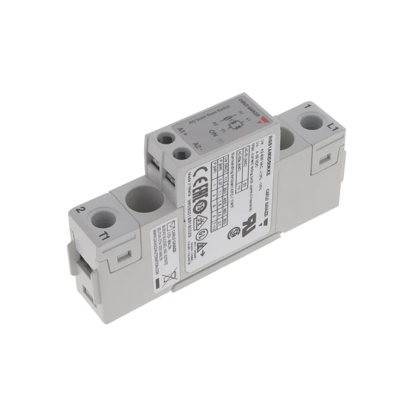 FOTO 3 - Carlo Gavazzi RGS1A60D50K