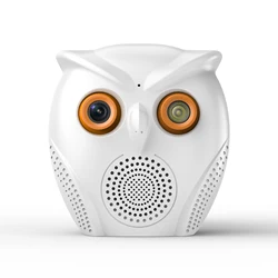 WiFi Security Camera 1080P High Resolution Auto Tracking Night Vision PIR Motion Detection Low Power