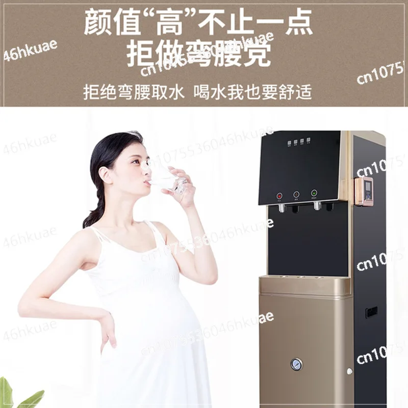 Vertical High Concentration Household Hydrogen Water Machine Filter Type Direct Drinking Machine