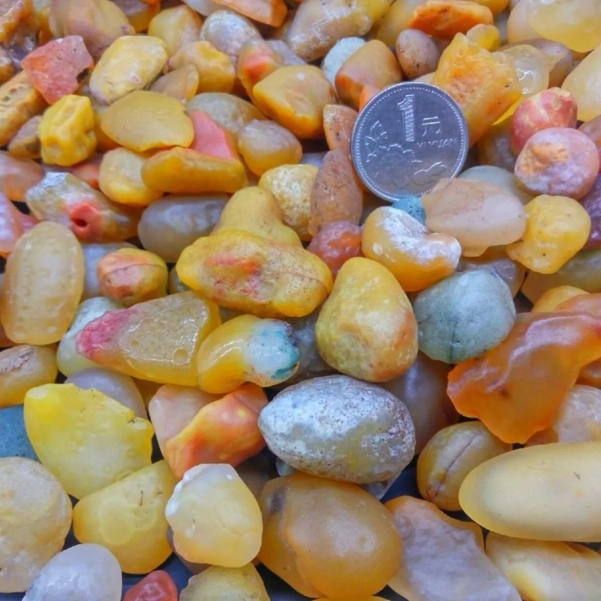 Artisan Stone Palm Stone Candy Agate,Glass Vial Display, 10-15mm Unpolished, Rock Collection.Candy Agate