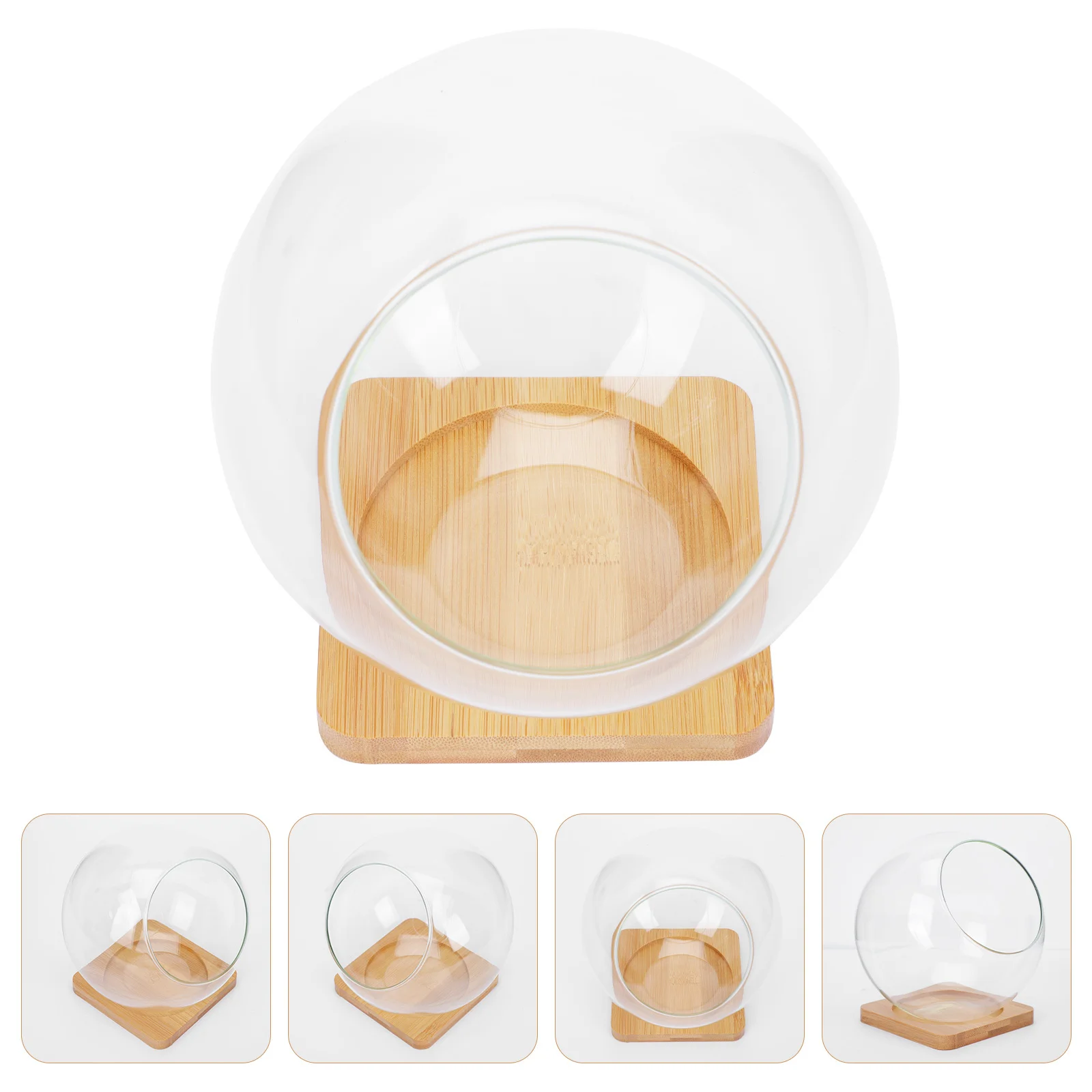 

1 Set Transparent Micro Landscape Glass Bottle Decorative Succulent Flowerpot Sturdy Durable Household Storage Container Easy