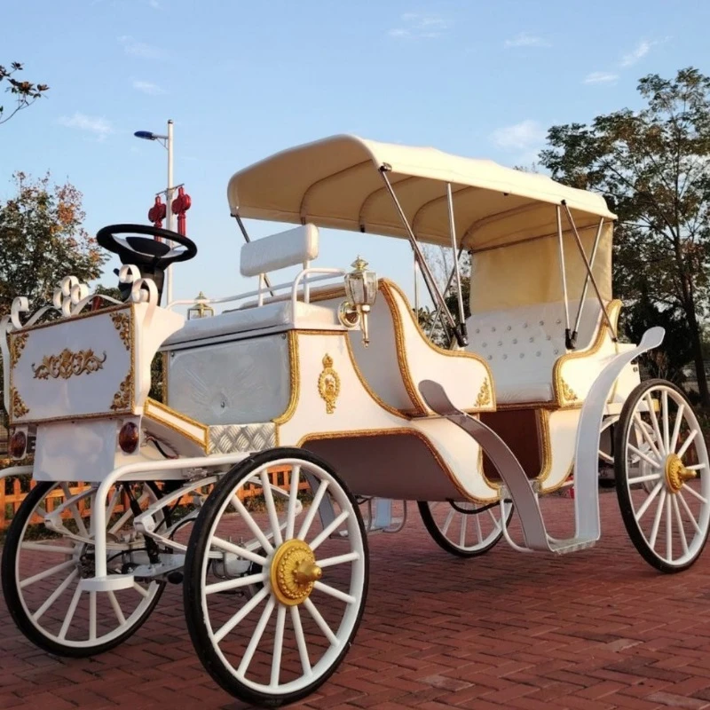 Sightseeing carriage wedding reception, pumpkin carriage photography props