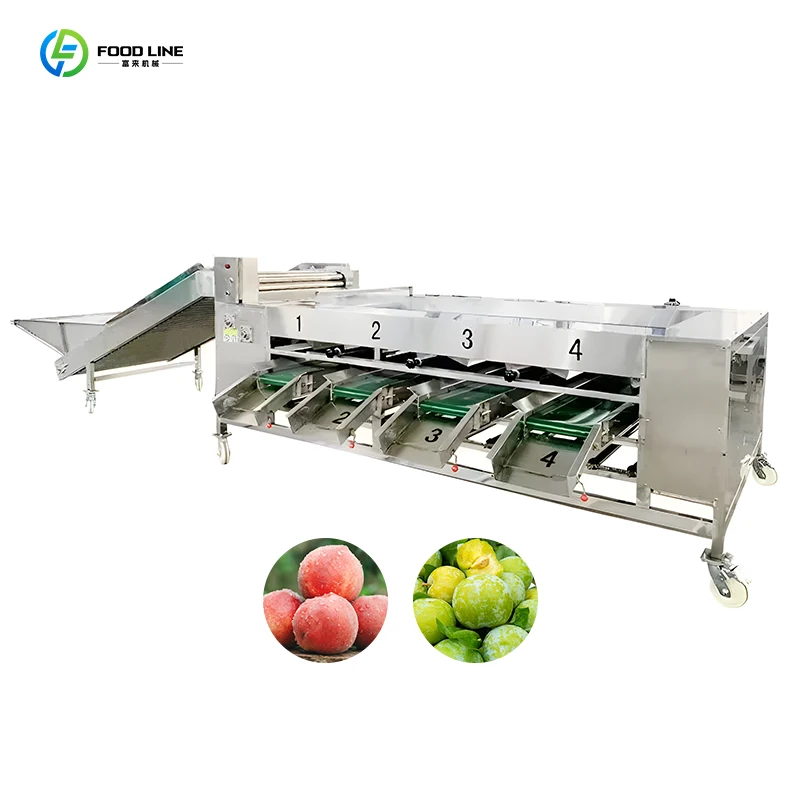 Automatic Fruit Vegetable Sorting Machine High Precision Weight Grading Equipment Farm Industrial Customized