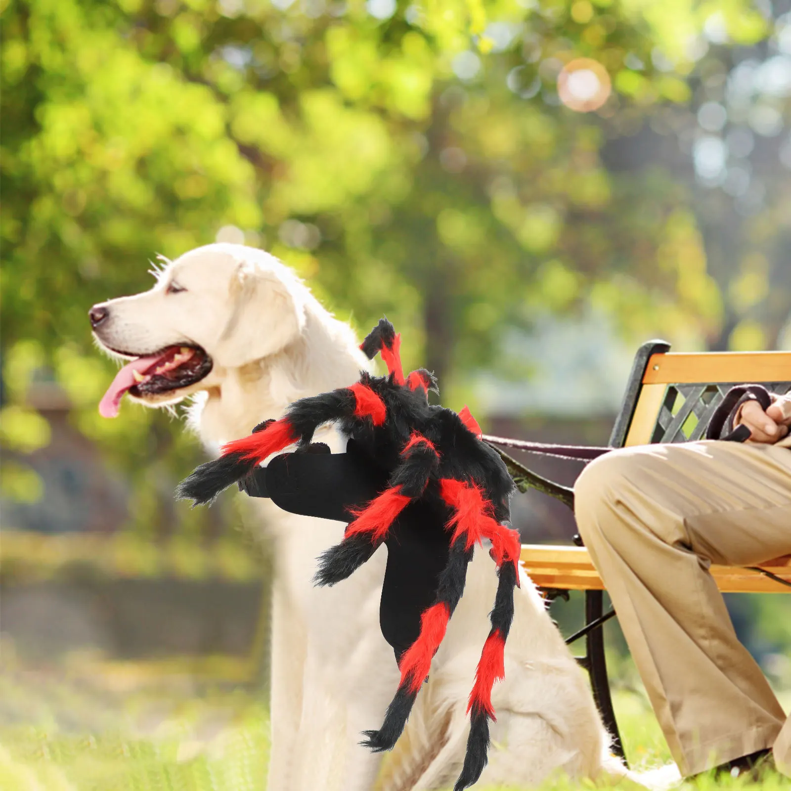 

Pet Spider Costume Halloween Spider Clothes for Cats Small Medium Dogs Comfortable Halloween Costume Dog Clothes