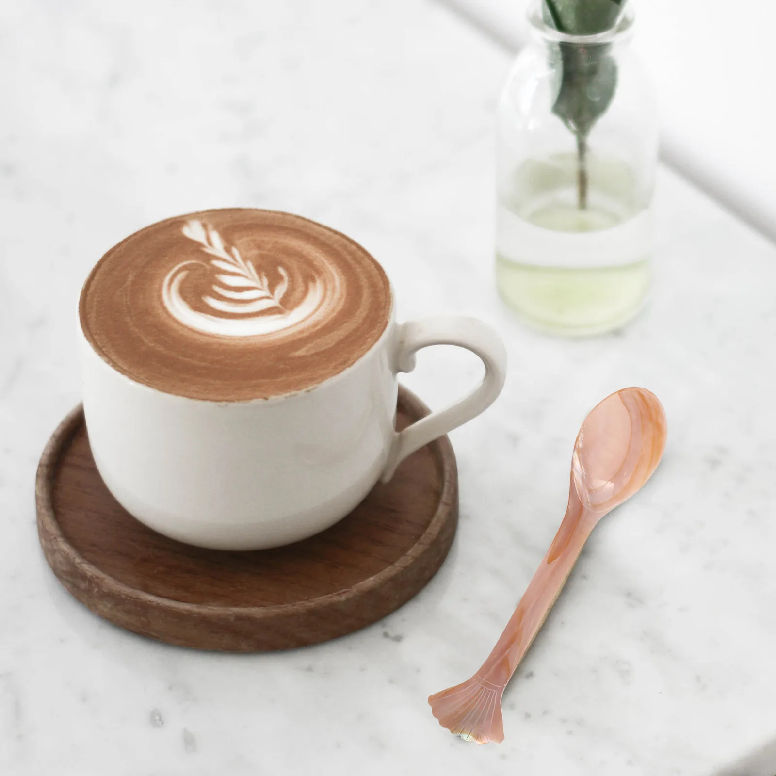 Cuchara Decorativa con Forma de Concha, Servidor de Caviar, Prensador de Café, Cuchara para Postre, Cucharita para Sopa, Aperitivos, Uso Doméstico y en Restaurantes