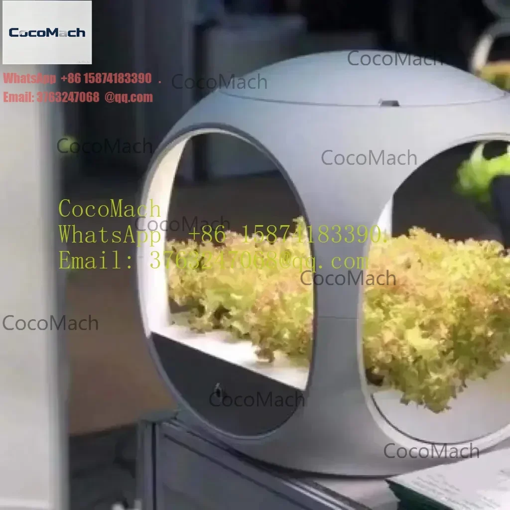 New Design Planting Pots Auto Water Irrigation Lettuce Strawberry Smart Garden Indoor Grow Hydroponics Systems