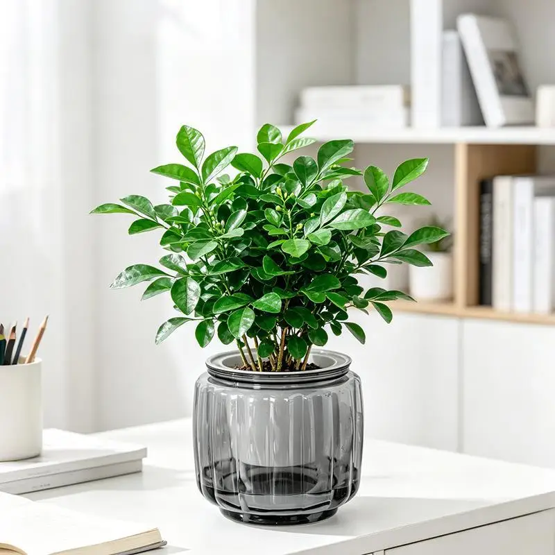 Mini Self Watering Flower Pot Fish Tank Transparent Plastic Plant Pots Self Watering Planter Pot For Home Decoration