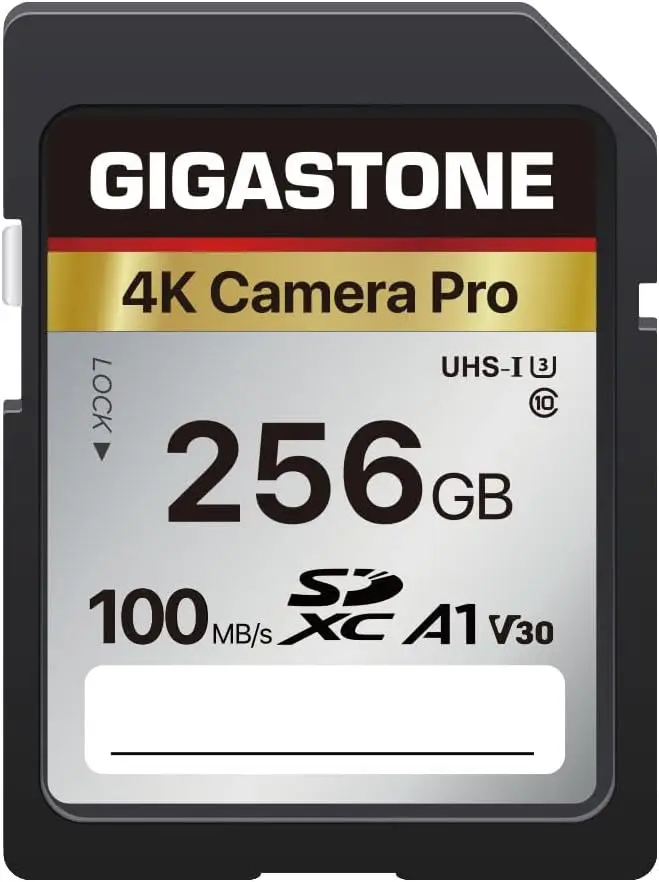 

Карта памяти SD 256 ГБ для 4K-камер, скорость V30 A1, 5-летняя гарантия восстановления данных, совместима с Canon DSLR