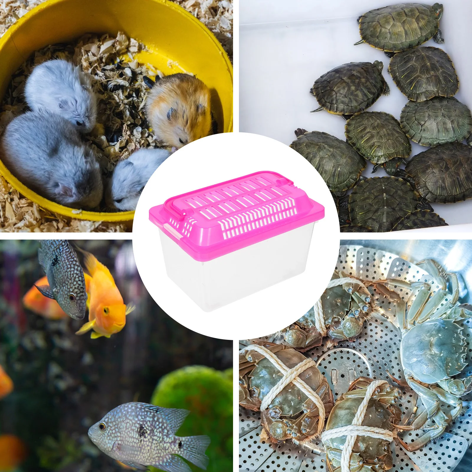 

Pet Hamster Box Portable Fish Tank Handheld Aquarium Reptile Feeding Box Unique Home for Goldfish Turtle Lightweight Compact